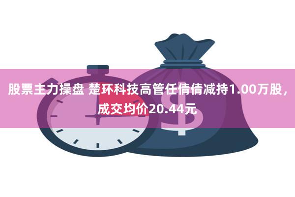 股票主力操盘 楚环科技高管任倩倩减持1.00万股，成交均价20.44元