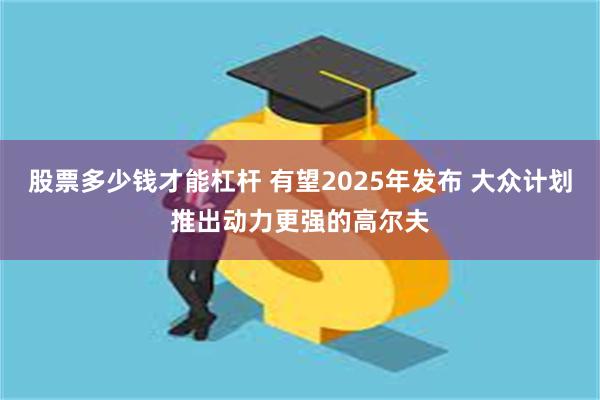 股票多少钱才能杠杆 有望2025年发布 大众计划推出动力更强的高尔夫