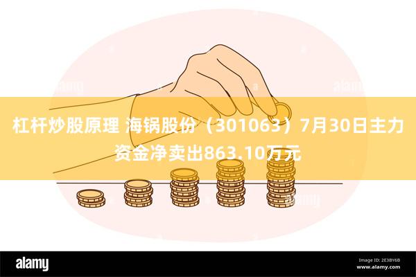 杠杆炒股原理 海锅股份（301063）7月30日主力资金净卖出863.10万元