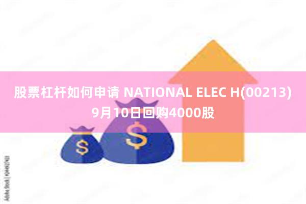 股票杠杆如何申请 NATIONAL ELEC H(00213)9月10日回购4000股