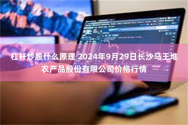 杠杆炒股什么原理 2024年9月29日长沙马王堆农产品股份有限公司价格行情