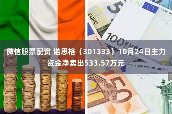 微信股票配资 诺思格（301333）10月24日主力资金净卖出533.57万元