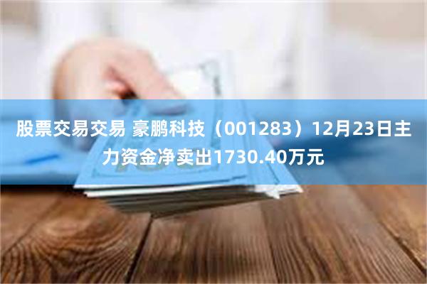 股票交易交易 豪鹏科技（001283）12月23日主力资金净卖出1730.40万元